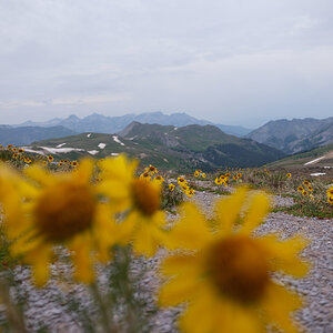 DSCF0030.jpg