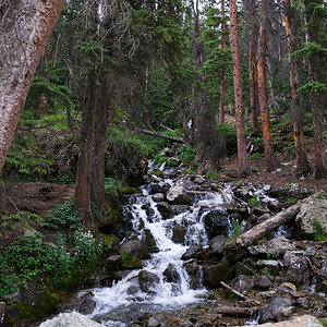 DSCF0065.jpg