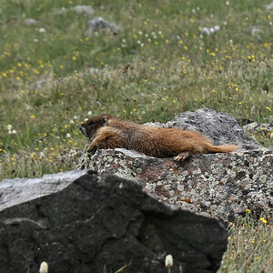 DSC_2412.jpg