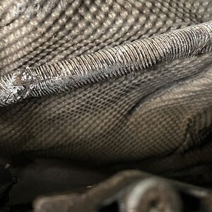 IMG_6015.jpeg