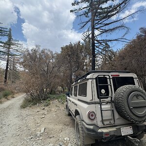 IMG_0568.jpeg