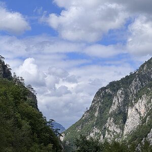 IMG_6118.jpeg