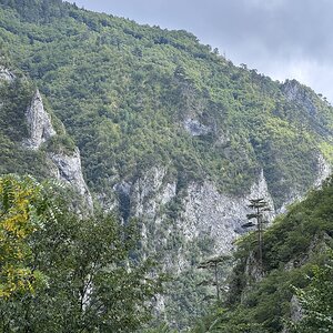 IMG_6112.jpeg