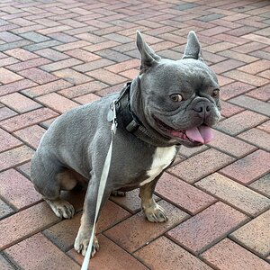 IMG_5586.jpeg