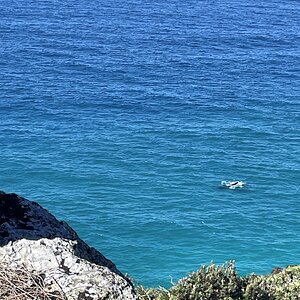 IMG_7775.jpg