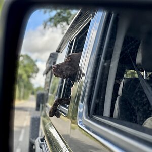 IMG_6623.jpeg