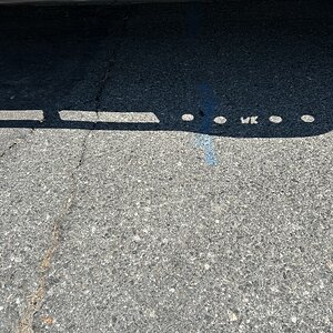 IMG_1158.jpeg