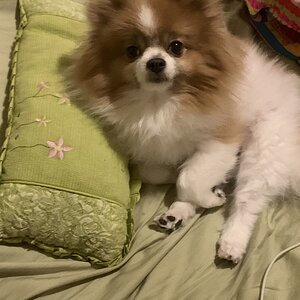 IMG_7300.jpeg