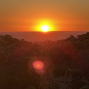 IMG_6982.jpeg
