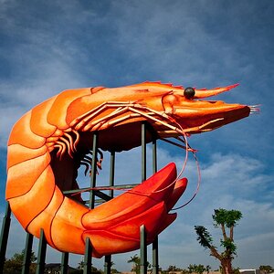 Ballina Big Prawn.jpg