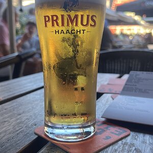IMG_5972.jpeg