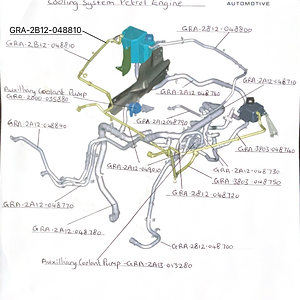 IMG_2553.png