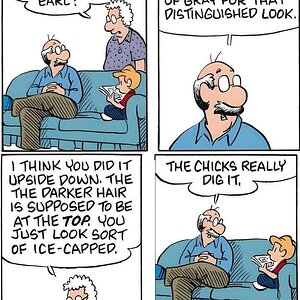chicks.jpg