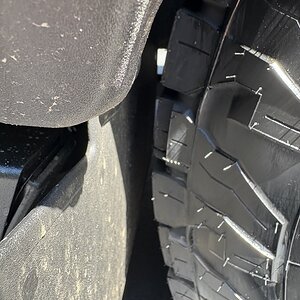 IMG_0558.jpeg