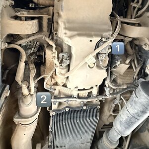 IMG_7318.jpeg