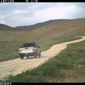 IMG_1083.jpeg