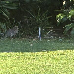 IMG_1153.jpeg