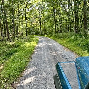 IMG_6038.jpeg