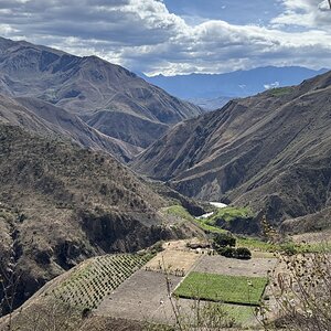 IMG_7372.jpeg