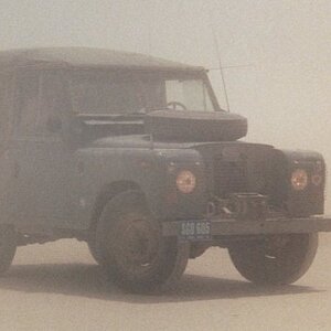 IMG_4596.jpeg