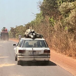 Cantanhez to Gambia (14).jpeg