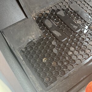 IMG_7242.jpeg