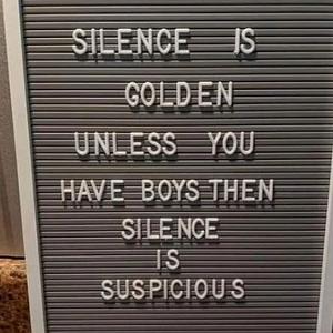 1758146095330.png