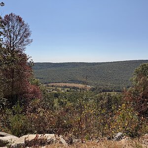 IMG_8492.jpg