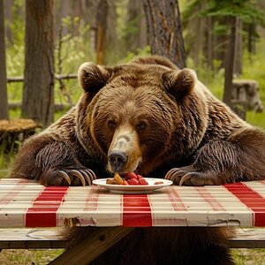 Bear Picnic.jpeg
