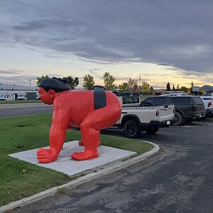 IMG_0143.jpeg