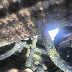 IMG_6424.jpeg