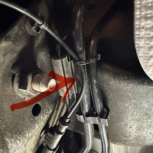 IMG_7202.jpeg