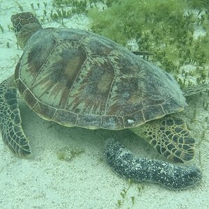 IMG_3868.jpeg