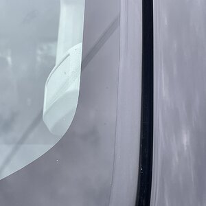 IMG_7351.jpeg