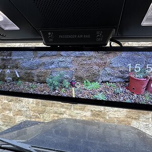 IMG_7205.jpeg