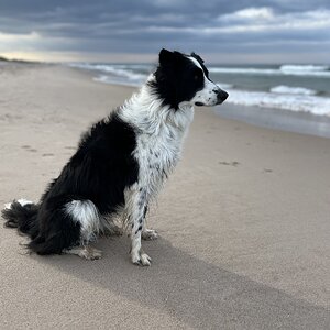 IMG_1109.jpeg