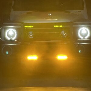 fog lights2.JPG