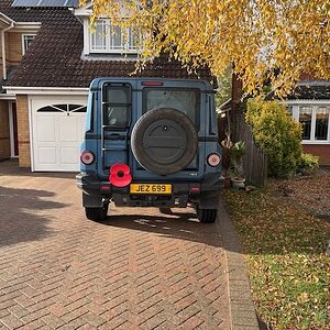 Grenadier Poppy - 1.jpeg