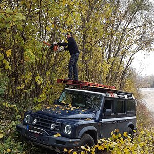 20251101 Heckenschneiden.jpg