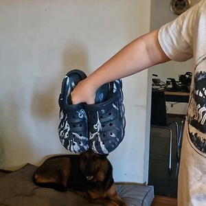 VID-20251115-WA0000.mp4