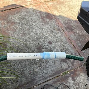 IMG_3506 (Large).JPG