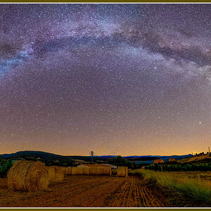 Despues de la siega A.jpg