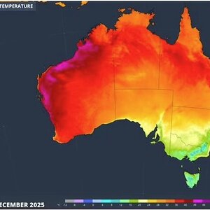 Screenshot 2025-12-01 122818.jpg