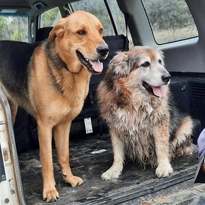 jack ruben michelle (2).jpg