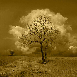 IMG_2227 copia 2.jpg