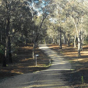 coast range road.JPG