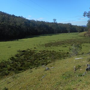 combienbar idyll.JPG