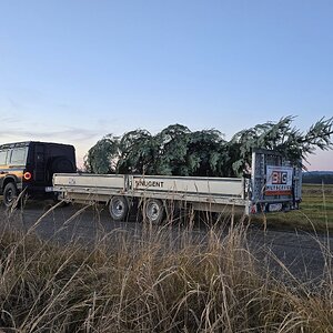 Coming home for Christmas.jpg