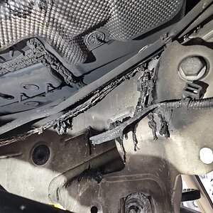 20251223_164847 (1).jpg