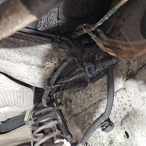 20251223_164902 (1).jpg